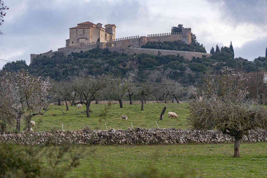 Mallorca - Artà 01 - Almudaina de Artà.jpg